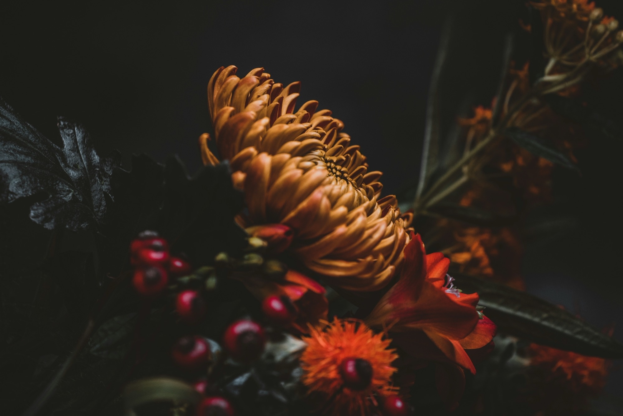 Botanical arrangement